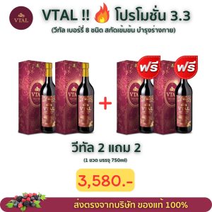 วีทัล โปร 2แถม2 เดือน 3